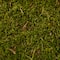 Forest Green Preserved Moss by Ashland&#xAE;